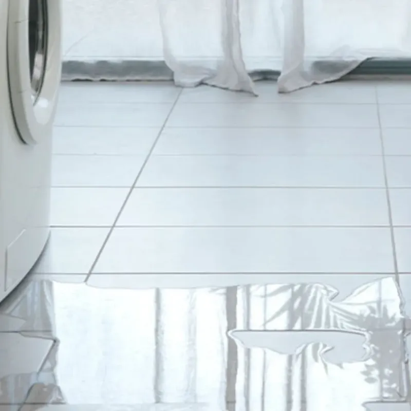 Appliance Leak Cleanup in Woodlawn, VA
