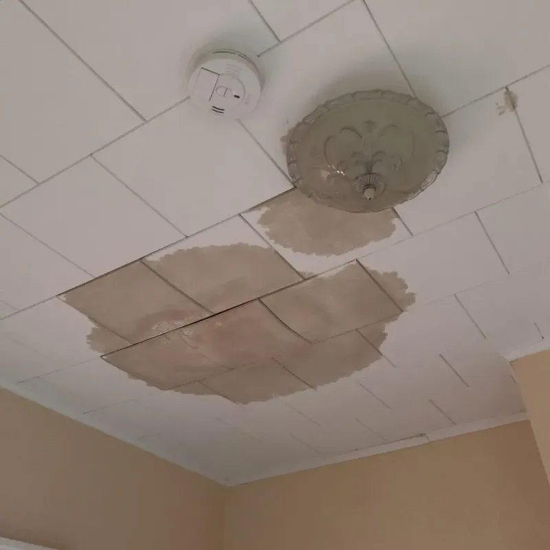 Ceiling Water Damage Repair in Woodlawn, VA