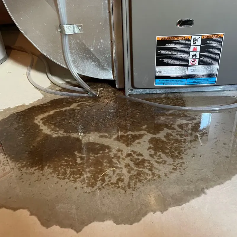 Pipe Burst and Leak Restoration in Woodlawn, VA