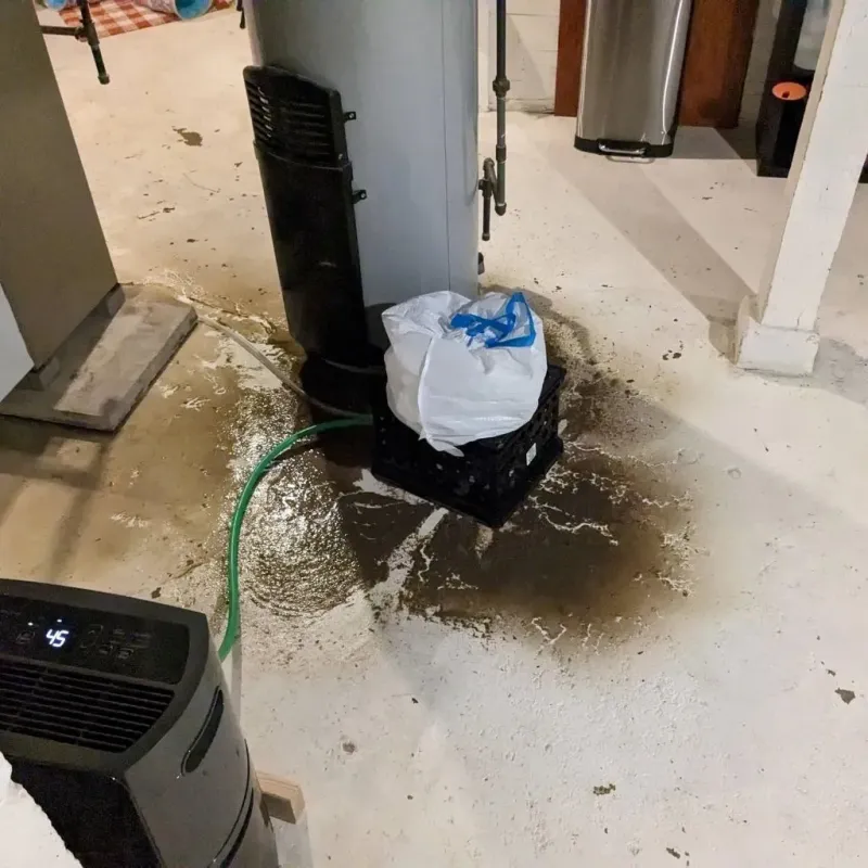 Sewage Backup Cleanup Service in Woodlawn, VA